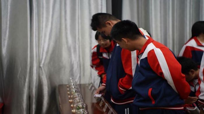 图片 6.png