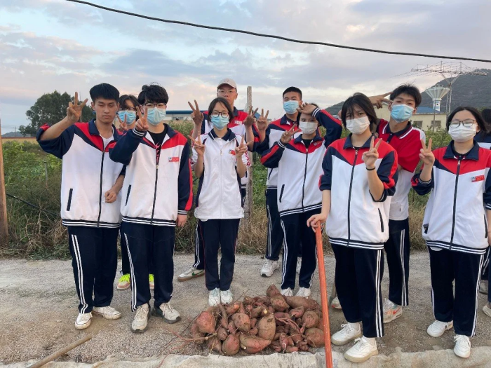 图片 31.png